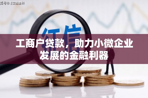 大名工商户贷款，助力小微企业发展的金融利器