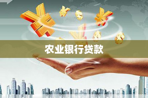 大名农业银行贷款