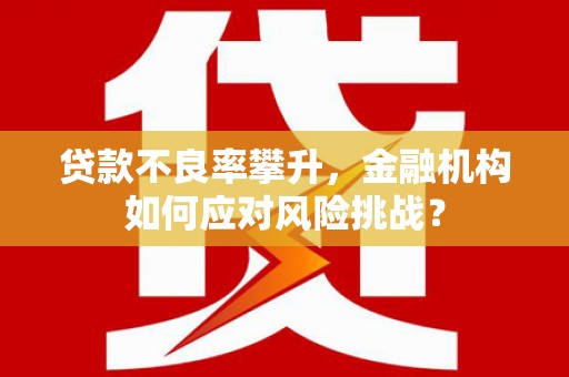 大名贷款不良率攀升，金融机构如何应对风险挑战？