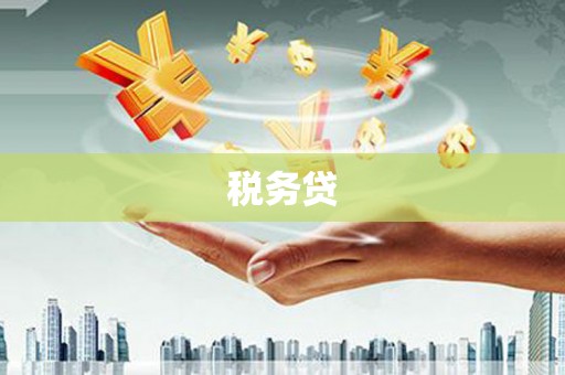 大名税务贷