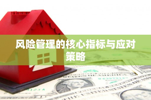 大名风险管理的核心指标与应对策略