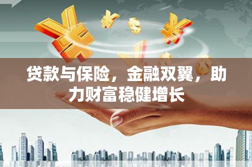 大名贷款与保险，金融双翼，助力财富稳健增长