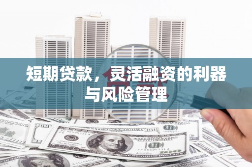 大名短期贷款，灵活融资的利器与风险管理