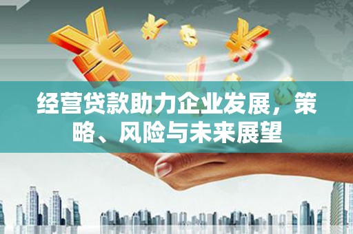 大名经营贷款助力企业发展，策略、风险与未来展望