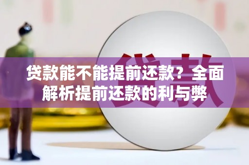 大名贷款能不能提前还款？全面解析提前还款的利与弊