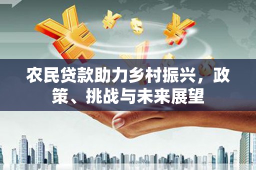 大名农民贷款助力乡村振兴，政策、挑战与未来展望