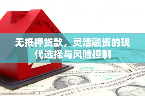 大名无抵押贷款，灵活融资的现代选择与风险控制