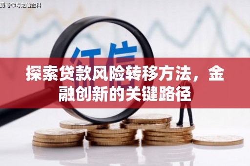 大名探索贷款风险转移方法，金融创新的关键路径