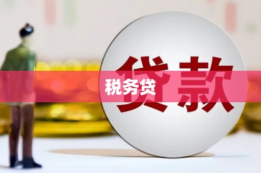 大名税务贷