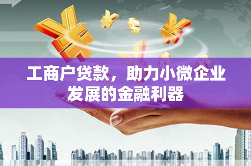大名工商户贷款，助力小微企业发展的金融利器