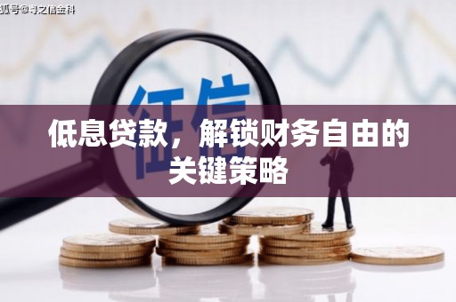 大名低息贷款，解锁财务自由的关键策略