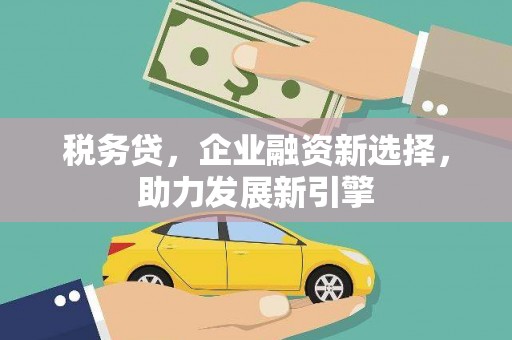 大名税务贷，企业融资新选择，助力发展新引擎