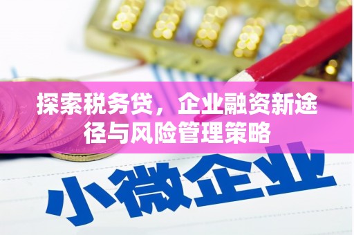 大名探索税务贷，企业融资新途径与风险管理策略