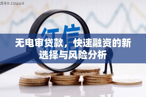大名无电审贷款，快速融资的新选择与风险分析