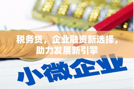 大名税务贷，企业融资新选择，助力发展新引擎