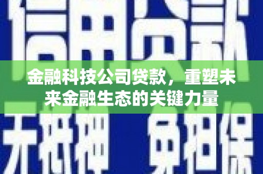 大名金融科技公司贷款，重塑未来金融生态的关键力量