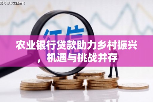 大名农业银行贷款助力乡村振兴，机遇与挑战并存