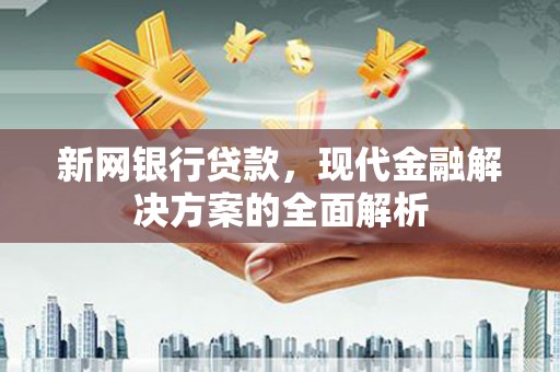 大名新网银行贷款，现代金融解决方案的全面解析
