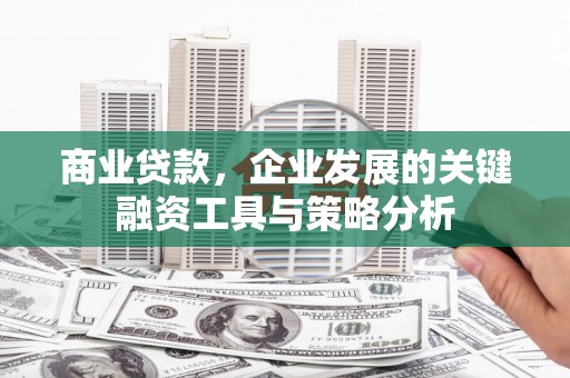 大名商业贷款，企业发展的关键融资工具与策略分析