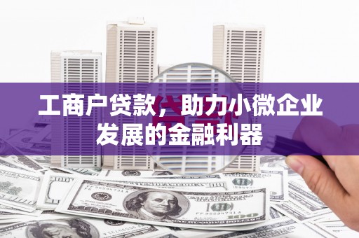 大名工商户贷款，助力小微企业发展的金融利器