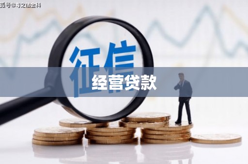 大名经营贷款