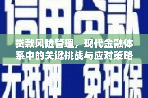大名贷款风险管理，现代金融体系中的关键挑战与应对策略