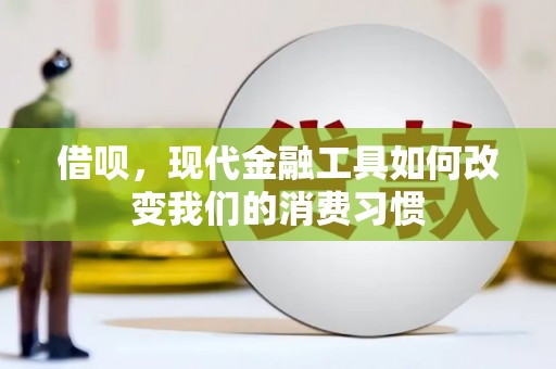 大名借呗，现代金融工具如何改变我们的消费习惯