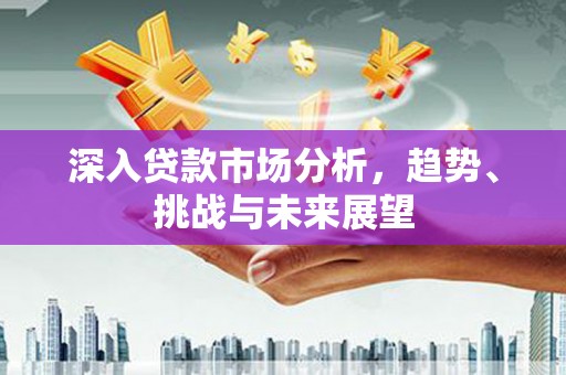 大名深入贷款市场分析，趋势、挑战与未来展望