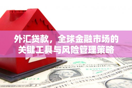大名外汇贷款，全球金融市场的关键工具与风险管理策略