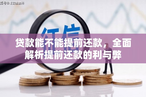 大名贷款能不能提前还款，全面解析提前还款的利与弊