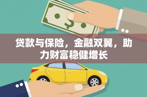 大名贷款与保险，金融双翼，助力财富稳健增长