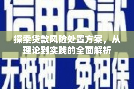 大名探索贷款风险处置方案，从理论到实践的全面解析