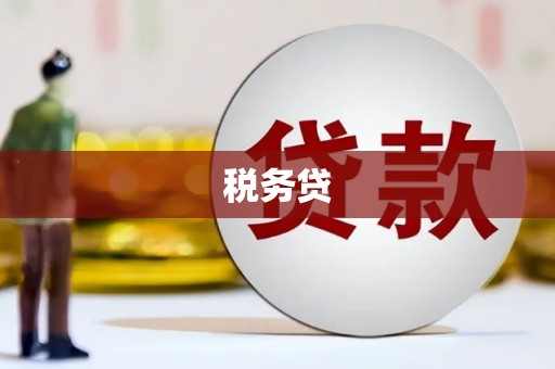 大名税务贷