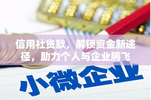 大名信用社贷款，解锁资金新途径，助力个人与企业腾飞