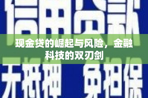 大名现金贷的崛起与风险，金融科技的双刃剑