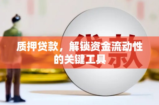 大名质押贷款，解锁资金流动性的关键工具