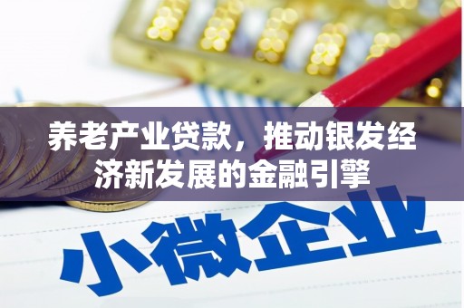 大名养老产业贷款，推动银发经济新发展的金融引擎