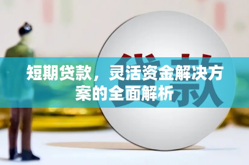 大名短期贷款，灵活资金解决方案的全面解析