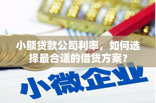 大名小额贷款公司利率，如何选择最合适的借贷方案？