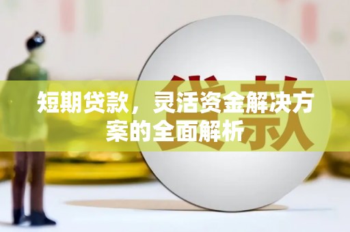 大名短期贷款，灵活资金解决方案的全面解析