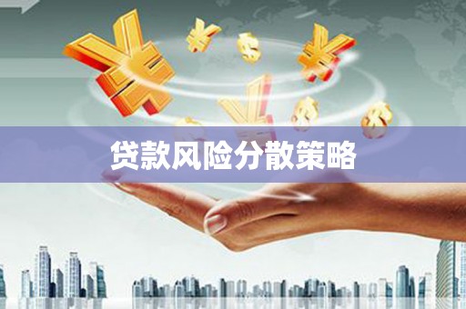 大名贷款风险分散策略