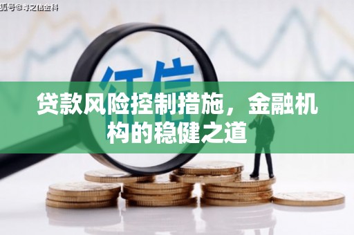 大名贷款风险控制措施，金融机构的稳健之道