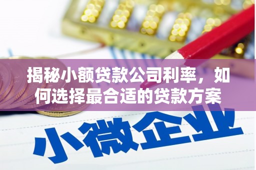 大名揭秘小额贷款公司利率，如何选择最合适的贷款方案