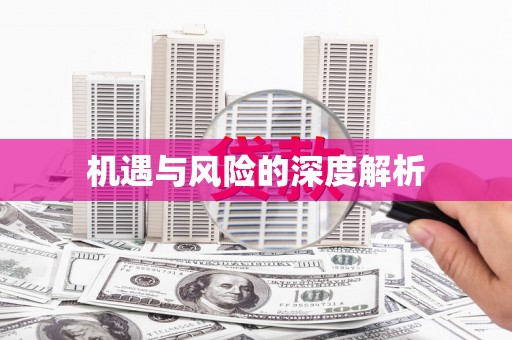 大名机遇与风险的深度解析