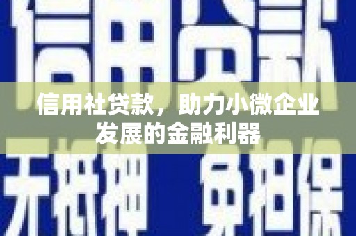 大名信用社贷款，助力小微企业发展的金融利器
