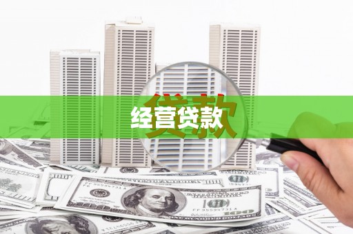 大名经营贷款