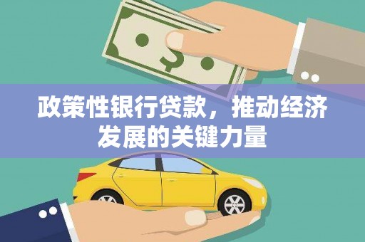大名政策性银行贷款，推动经济发展的关键力量
