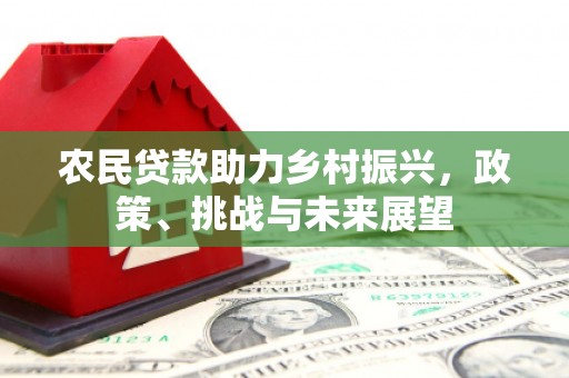 大名农民贷款助力乡村振兴，政策、挑战与未来展望