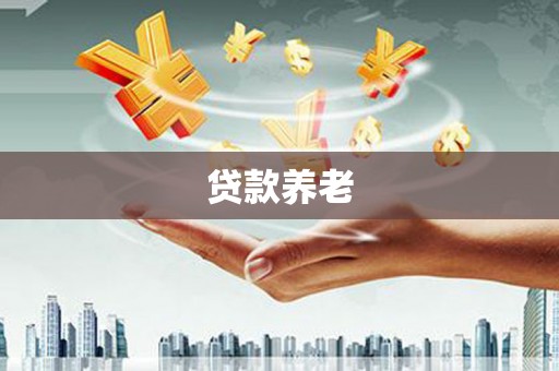 大名贷款养老