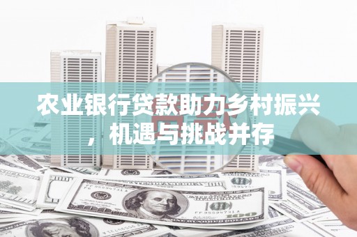 大名农业银行贷款助力乡村振兴，机遇与挑战并存